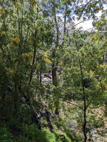 Room for rent, creekside apartment