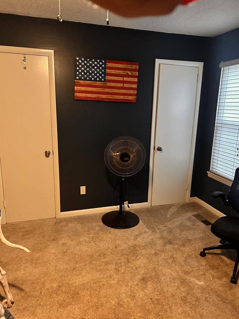 Roommate wanted
