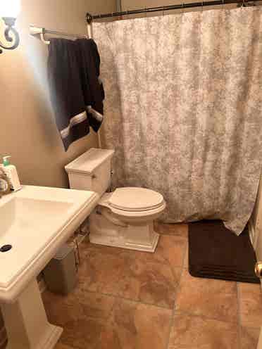 Roommate wanted