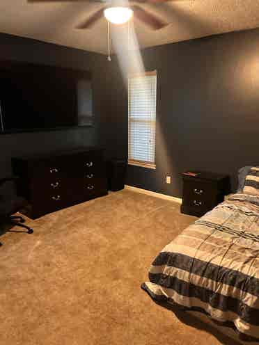 Roommate wanted