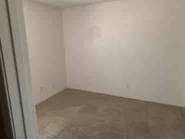 Looking to find a new roommate