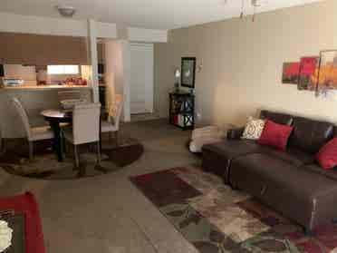 Looking to find a new roommate