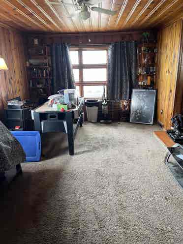 Roommate with bed needed