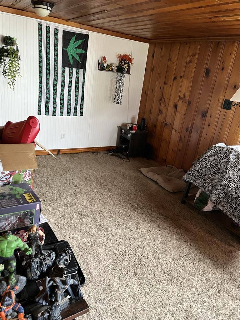 Roommate with bed needed