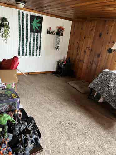 Roommate with bed needed