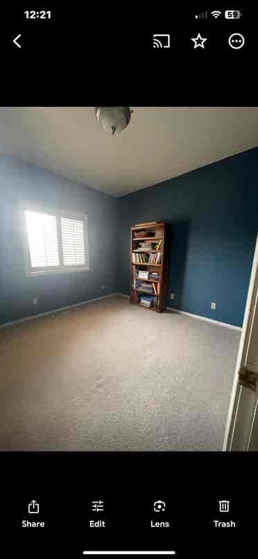 Looking for an honest roommate