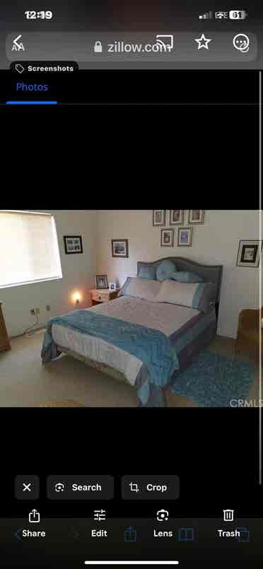 Looking for an honest roommate