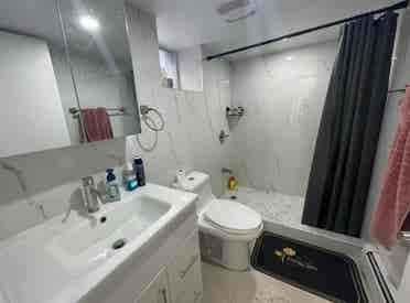 Newly Renovated Cozy Detached