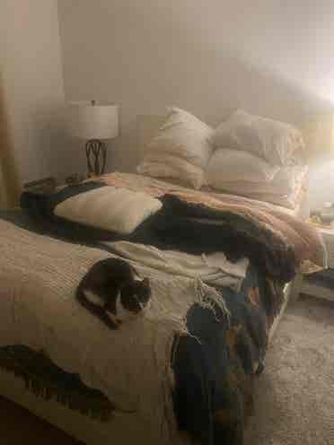 sq apt with spare room