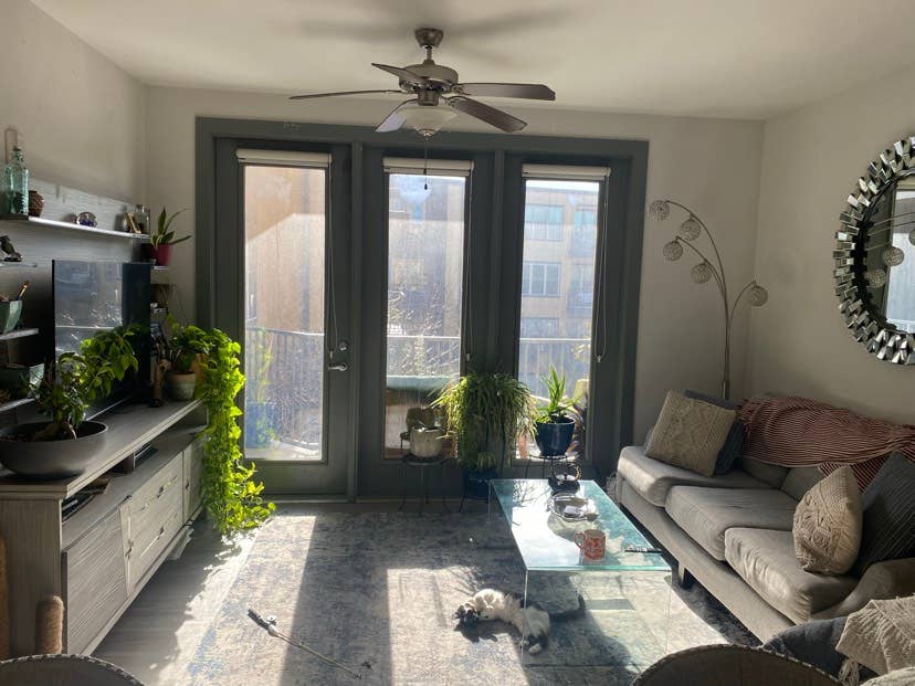 sq apt with spare room