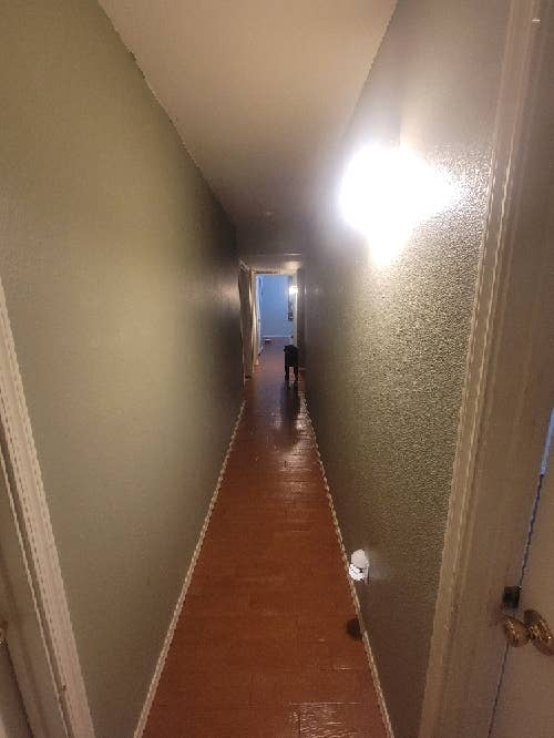 Room available for move in July