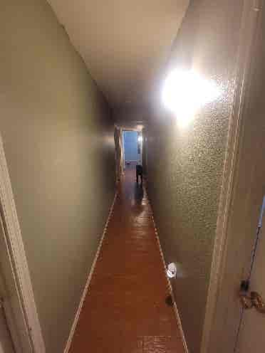 Room available for move in July