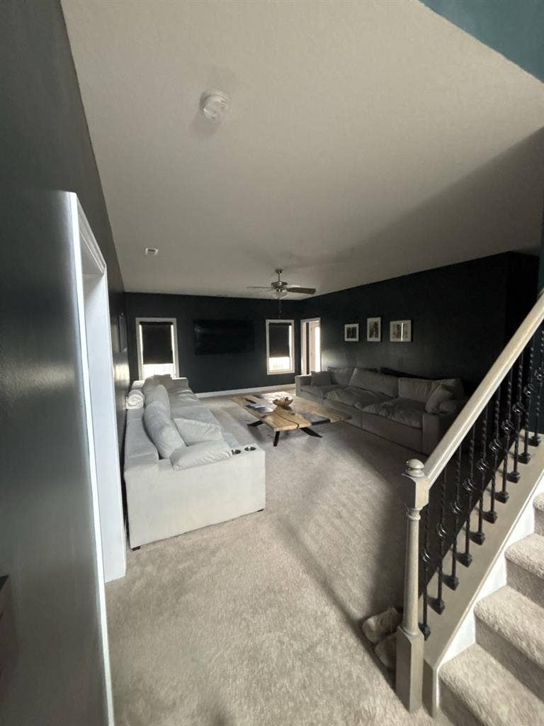 Roommates Needed!
