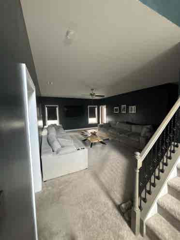 Roommates Needed!