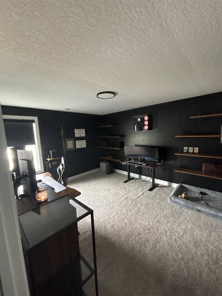 Roommates Needed!