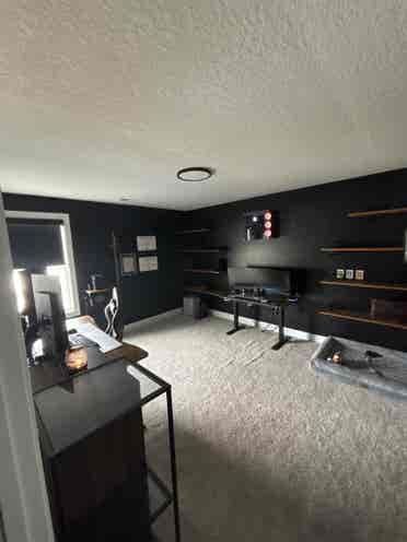 Roommates Needed!