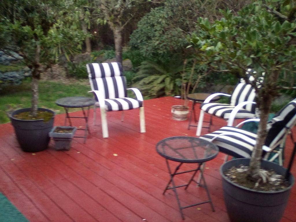 GUYS...Great Homeshare...NOW!