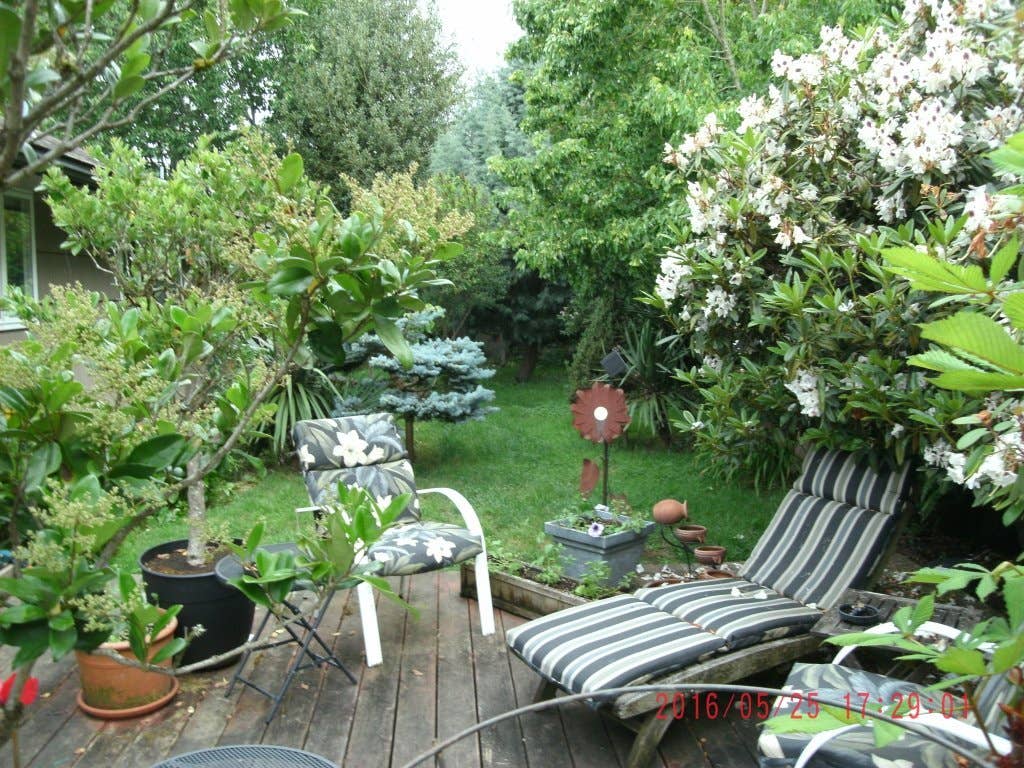 GUYS...Great Homeshare...NOW!