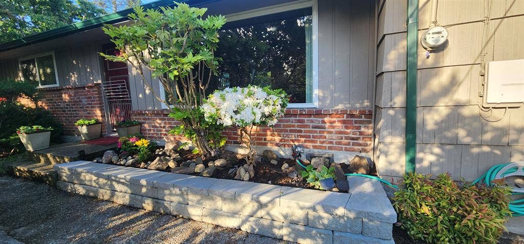 GUYS...Great Homeshare...NOW!