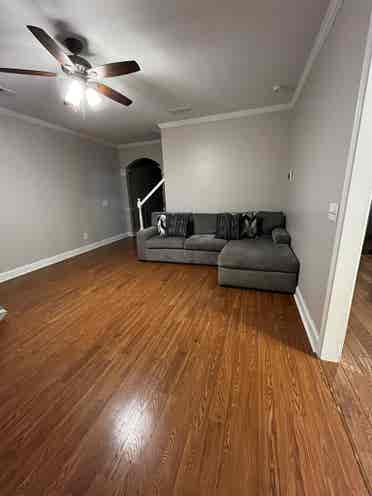 Room With a Vibe 🛋️ Pet Friendly!!