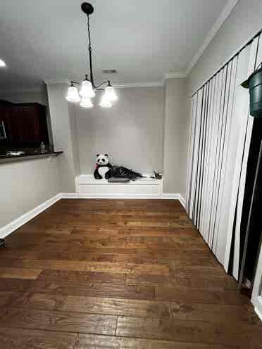 Room With a Vibe 🛋️ Pet Friendly!!