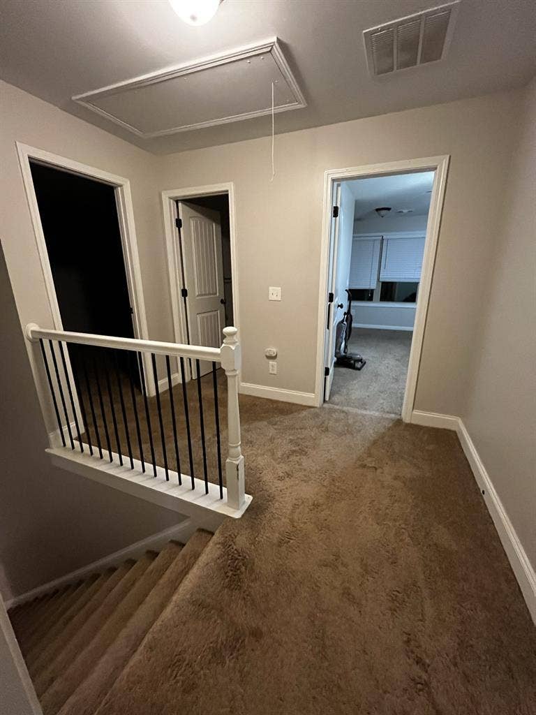 Room With a Vibe 🛋️ Pet Friendly!!