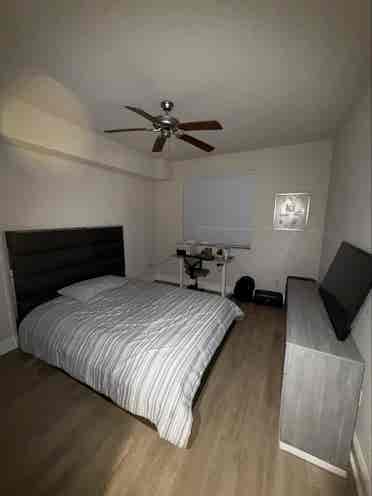 Room Ejecutiva Quiet Ambient