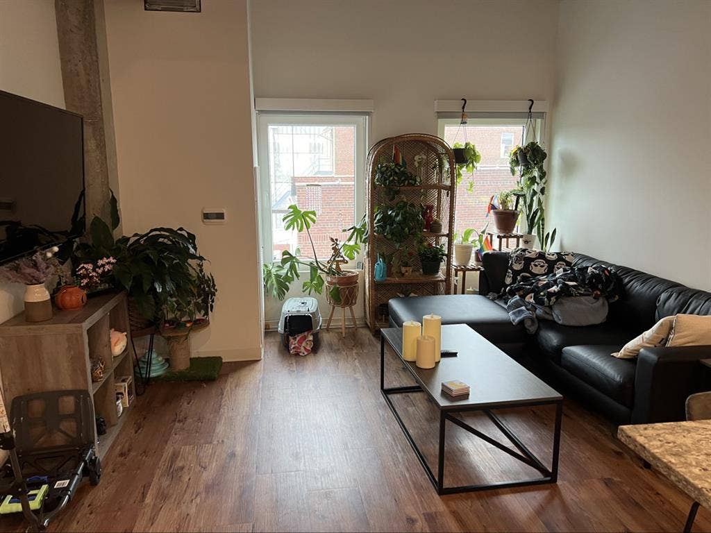 Looking for roommate!