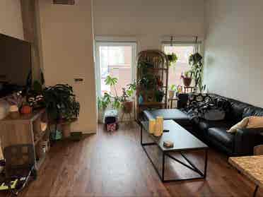 Looking for roommate!