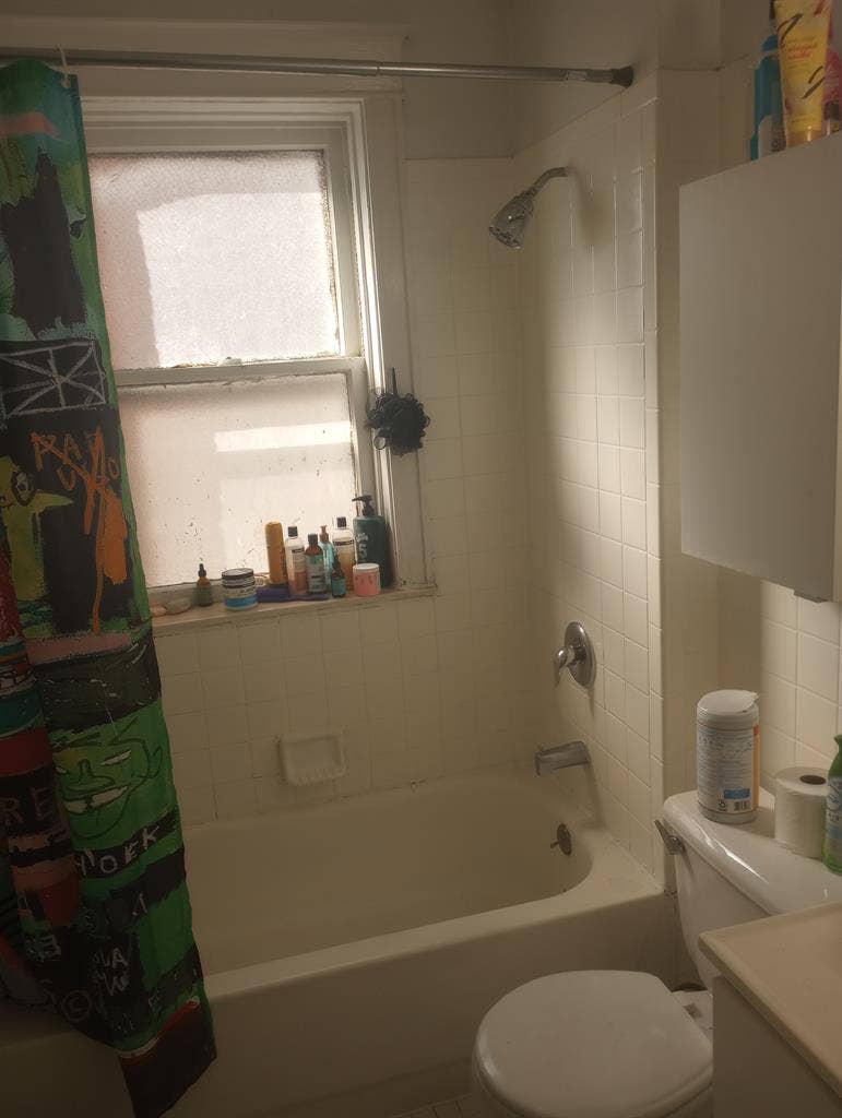 Looking for Roommate(s)!