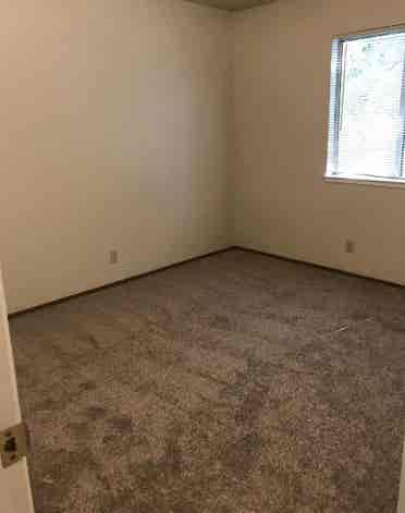 3rd Roomate needed