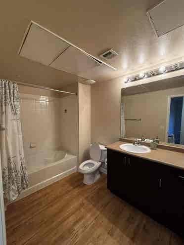 TSMC (台積電) roommate needed