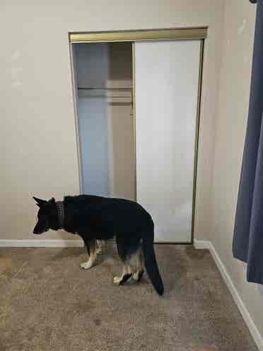 Nice room in Orangecrest Riverside