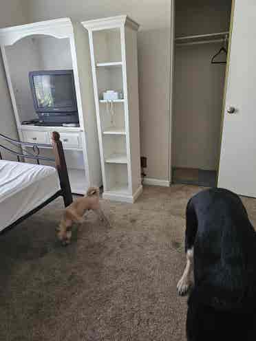 Nice room in Orangecrest Riverside
