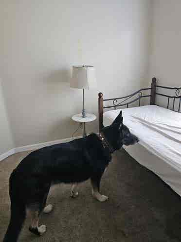 Nice room in Orangecrest Riverside