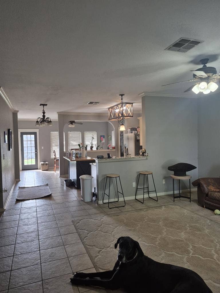 Furnished room in a nice 3 BR house