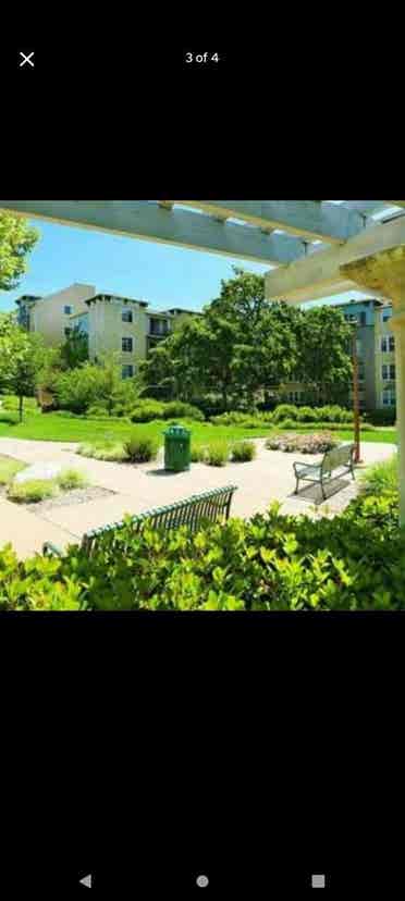 Downtown Walnut Creek