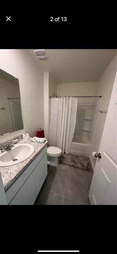 Rent. Room