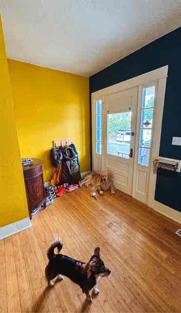 Need a roommate by may 1st