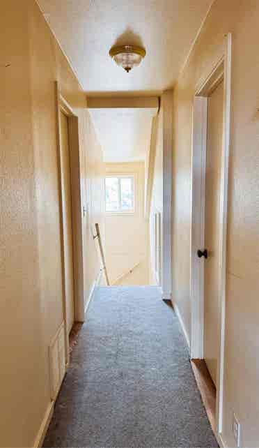 Need a roommate by may 1st