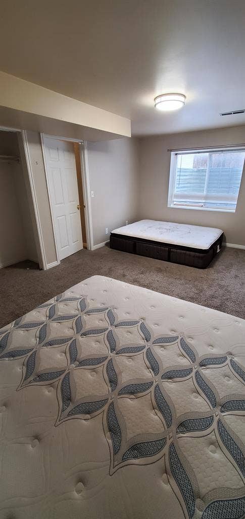 Female roommate wanted