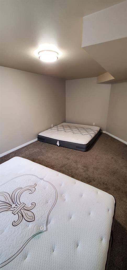Female roommate wanted