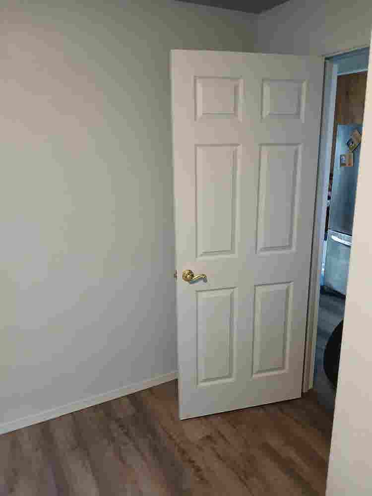 Looking for a roommate