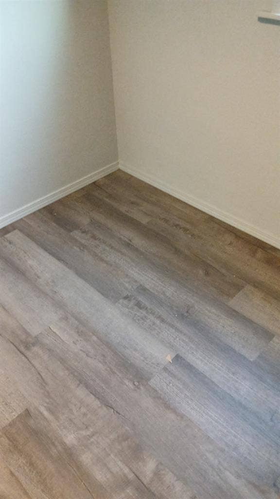 Looking for a roommate