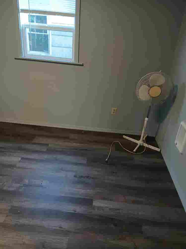 Looking for a roommate
