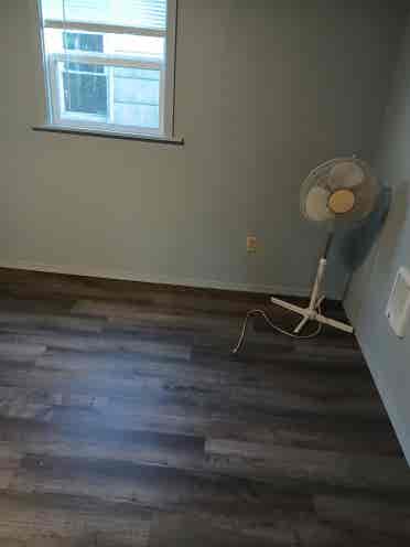 Looking for a roommate
