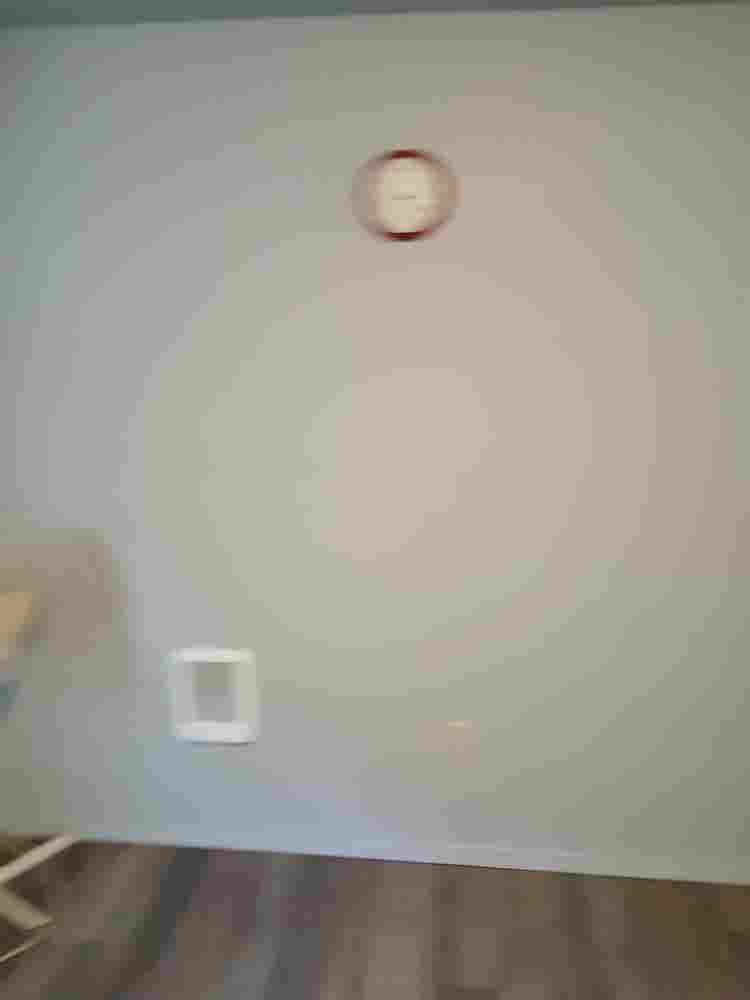 Looking for a roommate