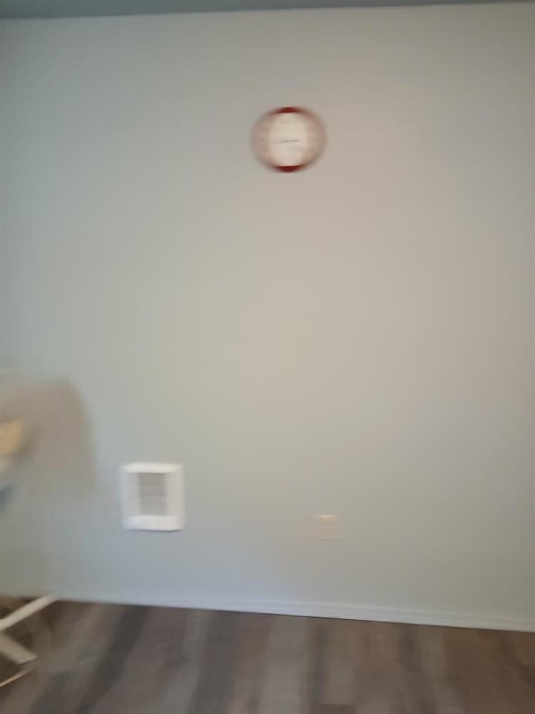 Looking for a roommate