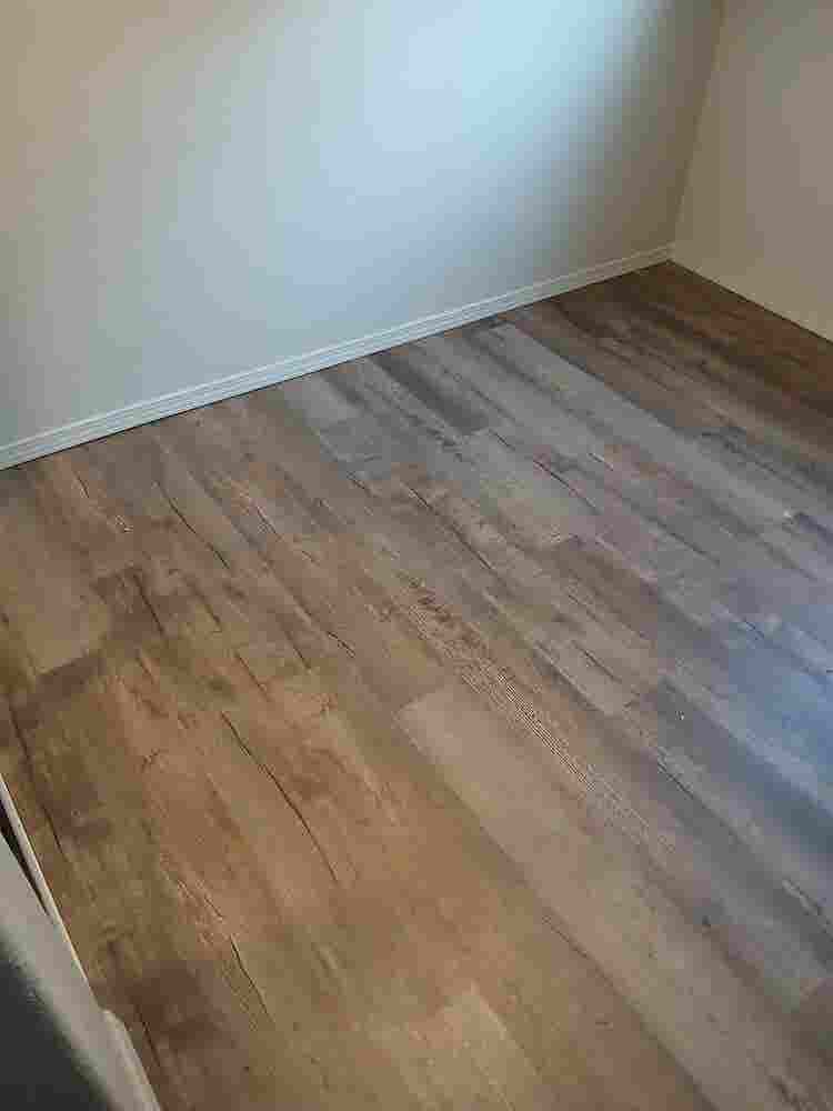 Looking for a roommate