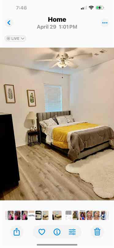 Gorgeous one bedroom